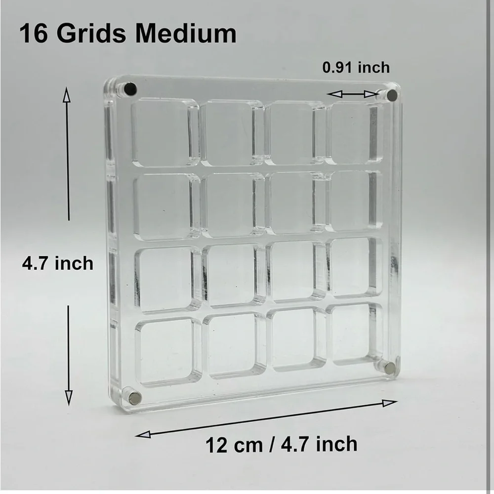 Clear Resin Shell Display
